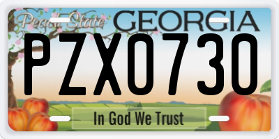 GA license plate PZX0730