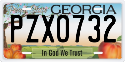 GA license plate PZX0732