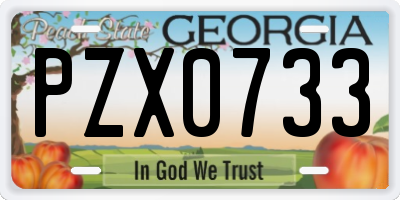 GA license plate PZX0733