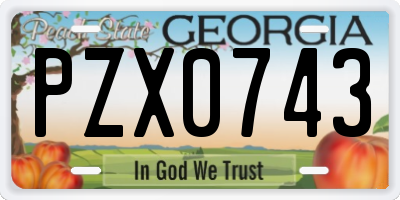 GA license plate PZX0743