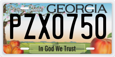 GA license plate PZX0750