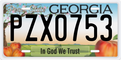 GA license plate PZX0753