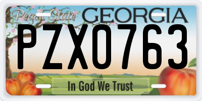 GA license plate PZX0763