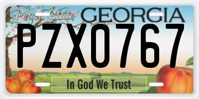 GA license plate PZX0767
