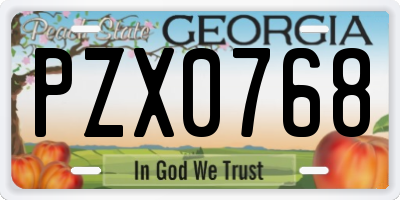 GA license plate PZX0768