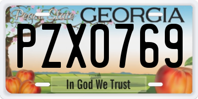 GA license plate PZX0769