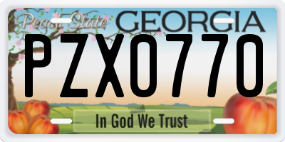 GA license plate PZX0770