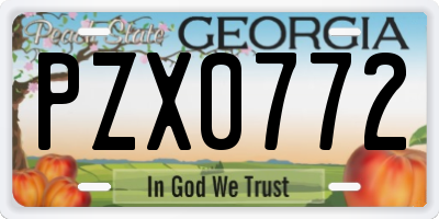 GA license plate PZX0772