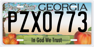 GA license plate PZX0773