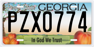 GA license plate PZX0774