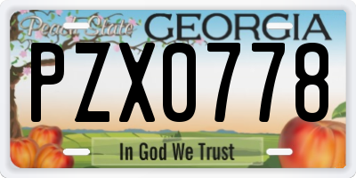 GA license plate PZX0778
