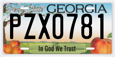 GA license plate PZX0781