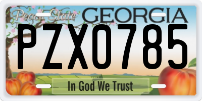 GA license plate PZX0785