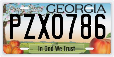GA license plate PZX0786