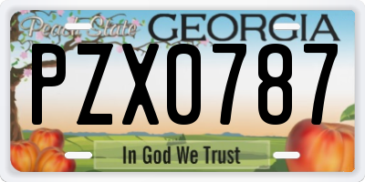 GA license plate PZX0787