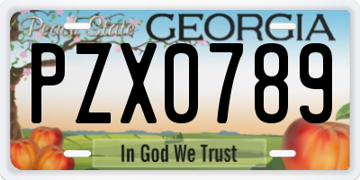GA license plate PZX0789