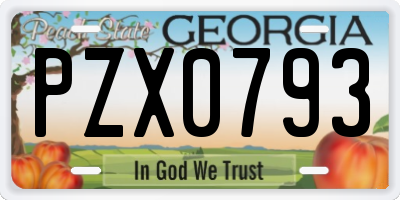 GA license plate PZX0793