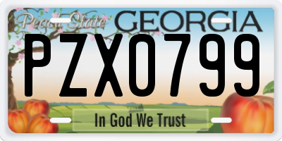GA license plate PZX0799