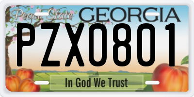 GA license plate PZX0801