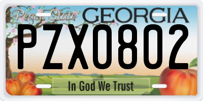 GA license plate PZX0802