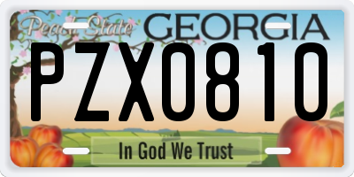 GA license plate PZX0810