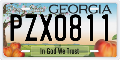 GA license plate PZX0811