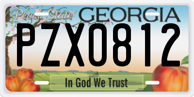 GA license plate PZX0812
