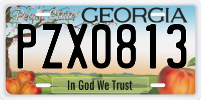 GA license plate PZX0813