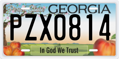 GA license plate PZX0814