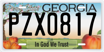 GA license plate PZX0817