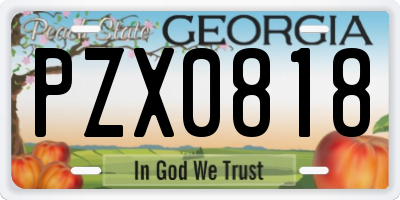 GA license plate PZX0818