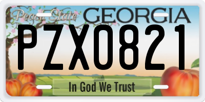 GA license plate PZX0821