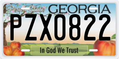 GA license plate PZX0822