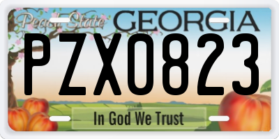 GA license plate PZX0823