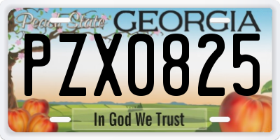 GA license plate PZX0825