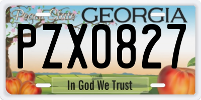 GA license plate PZX0827