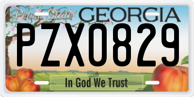 GA license plate PZX0829