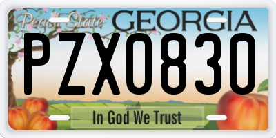 GA license plate PZX0830