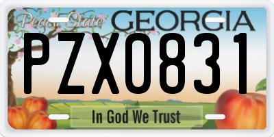GA license plate PZX0831