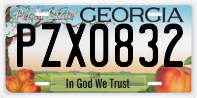 GA license plate PZX0832