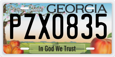 GA license plate PZX0835
