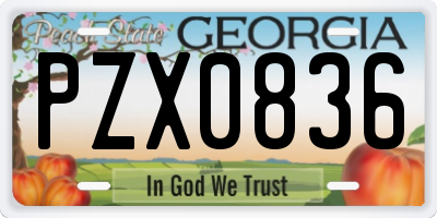 GA license plate PZX0836