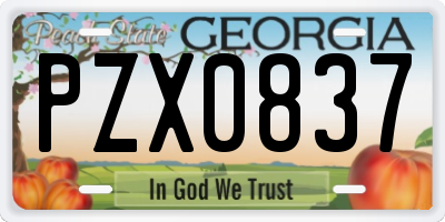 GA license plate PZX0837