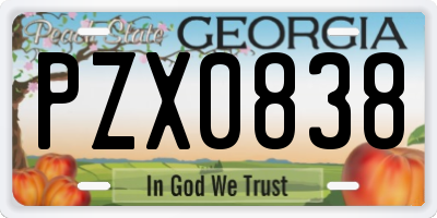 GA license plate PZX0838