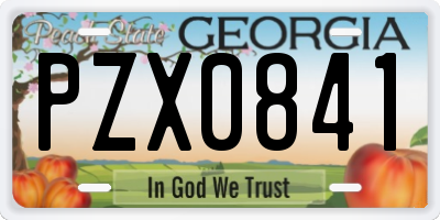 GA license plate PZX0841