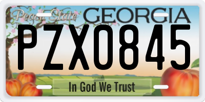 GA license plate PZX0845