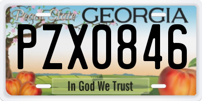 GA license plate PZX0846