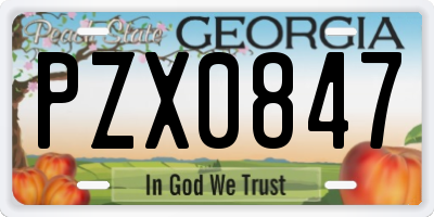 GA license plate PZX0847
