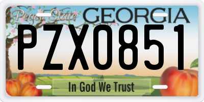 GA license plate PZX0851