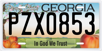 GA license plate PZX0853